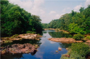 Up stream minihydle project in Western Ghats of Karnataka. Photo- Niren Jain