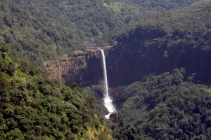 Goa's tiger habitat