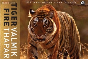 tiger-fire-book-cover-021213